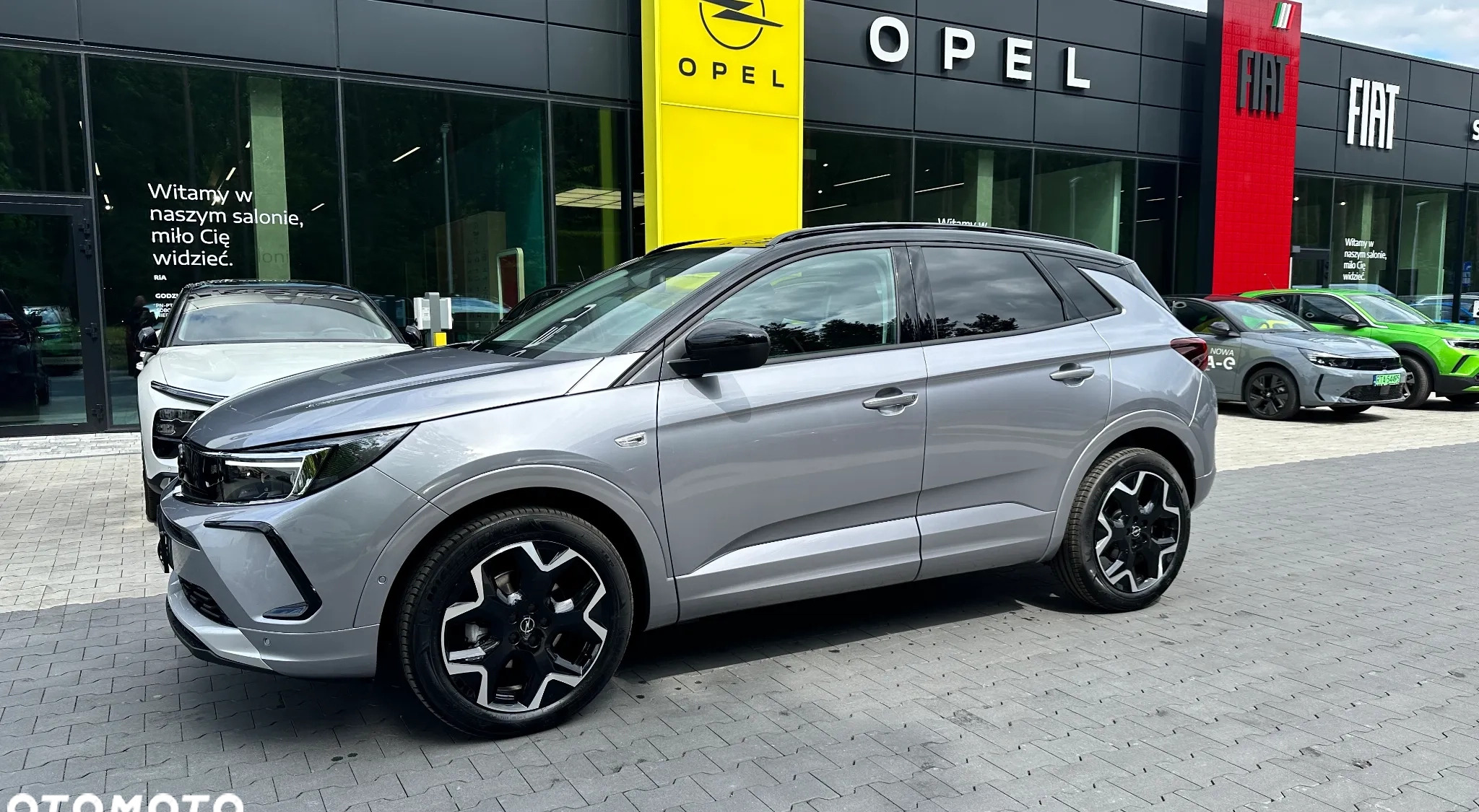 Opel Grandland cena 142345 przebieg: 2, rok produkcji 2024 z Dobrzyca małe 154